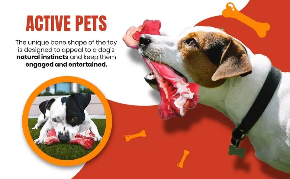 Dog Pet Chew Toys for Aggressive Chewers, Indestructible Tough Durable Bone Gift - Image 4