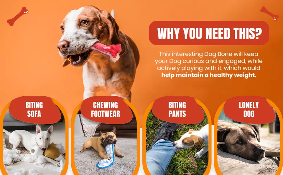 Dog Pet Chew Toys for Aggressive Chewers, Indestructible Tough Durable Bone Gift - Image 5