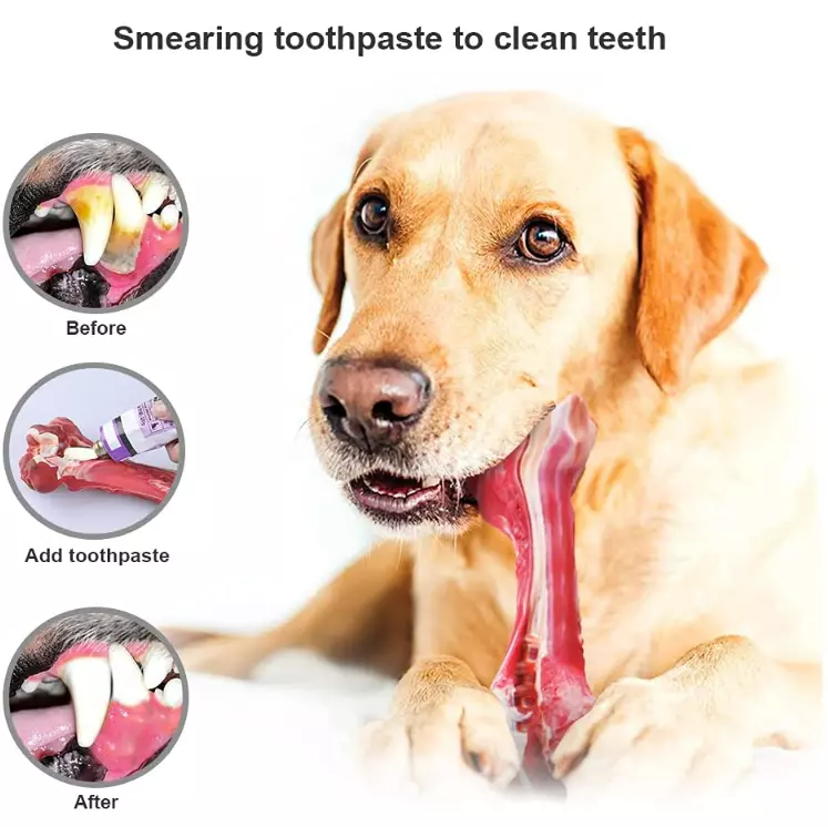 Dog Pet Chew Toys for Aggressive Chewers, Indestructible Tough Durable Bone Gift - Image 7